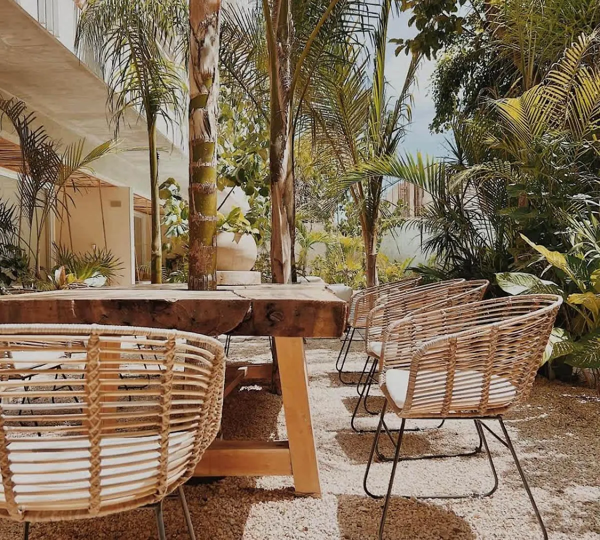 Infinity Pool In Veleta Apartment Tulum 0*,